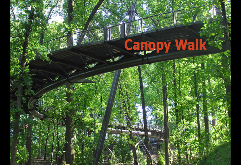 Canopy Walk