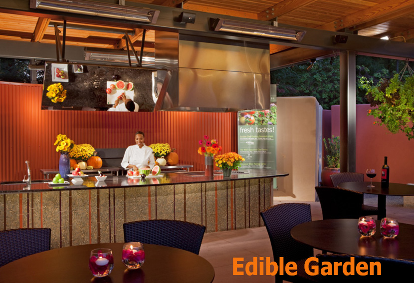 Edible Garden